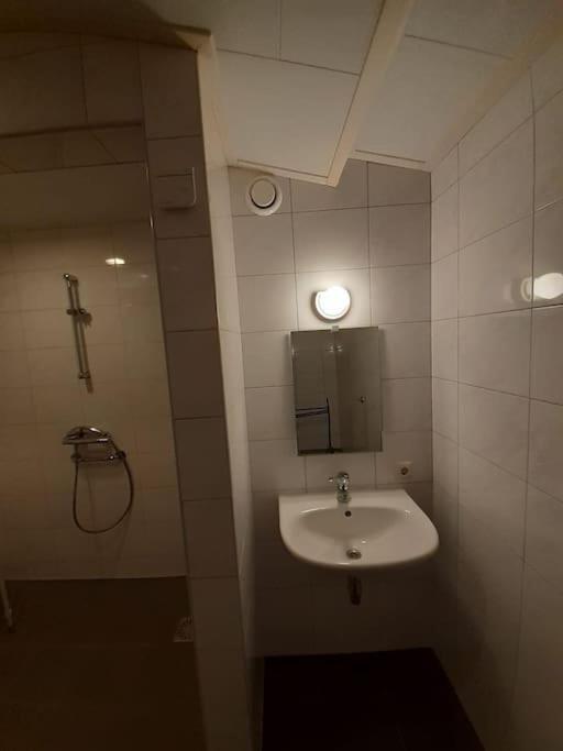 Saevis Tranquillus In Undis In De Ijsvogel Villa Diffelen Exterior photo